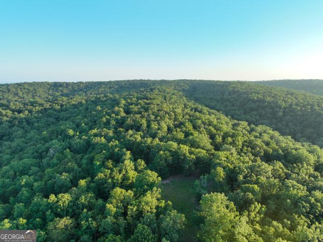 Land for sale in Thomaston, Upson County