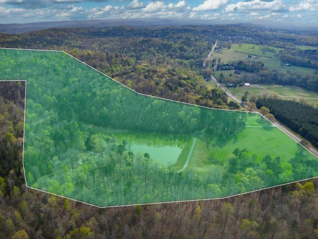 House for sale in Ashville, Alabama