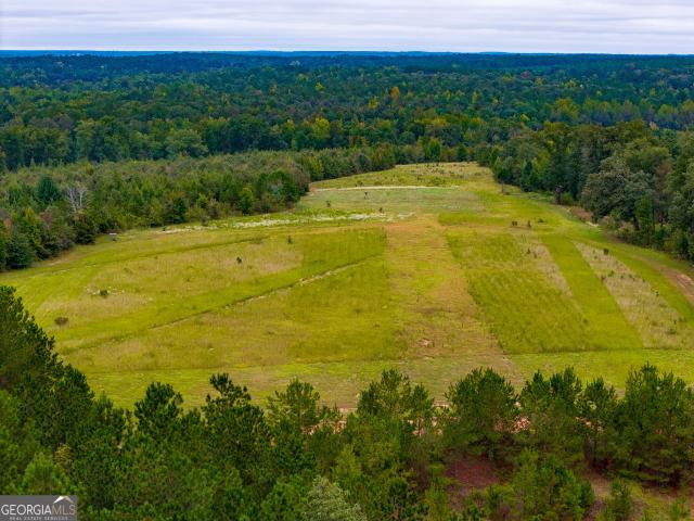 Land for sale in Avera, Jefferson County