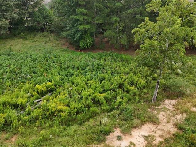 Land for sale in Springlake Estates, Buford