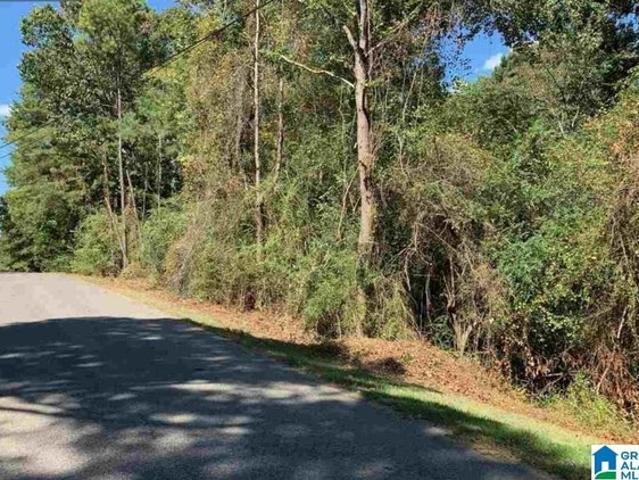 Land for sale in Adger, Alabama