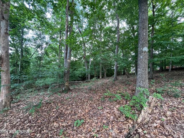Land for sale in Tennessee