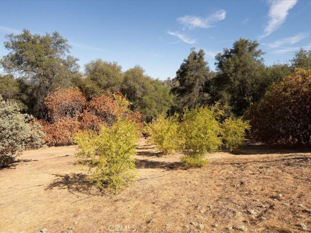Land for sale in Mariposa, California