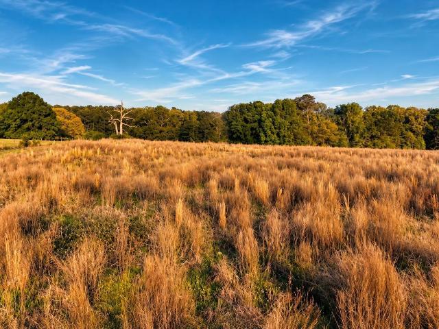 Land for sale in Talladega, Alabama