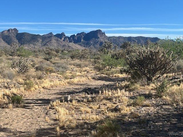 Land for sale in Arizona