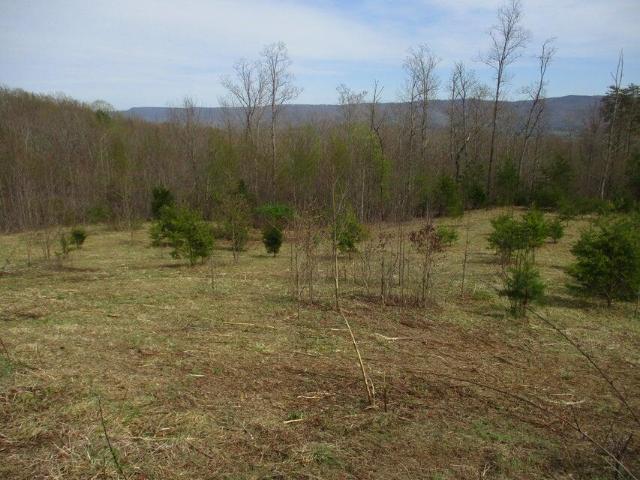 Land for sale in Tennessee