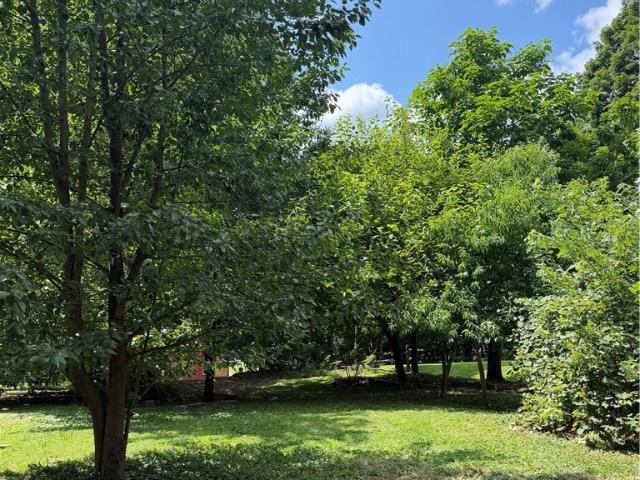 Land for sale in Coshocton, Ohio