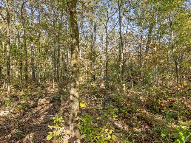 Land for sale in Chickamauga, Georgia