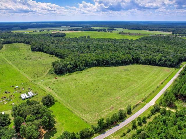 Land for sale in Louisville, Georgia