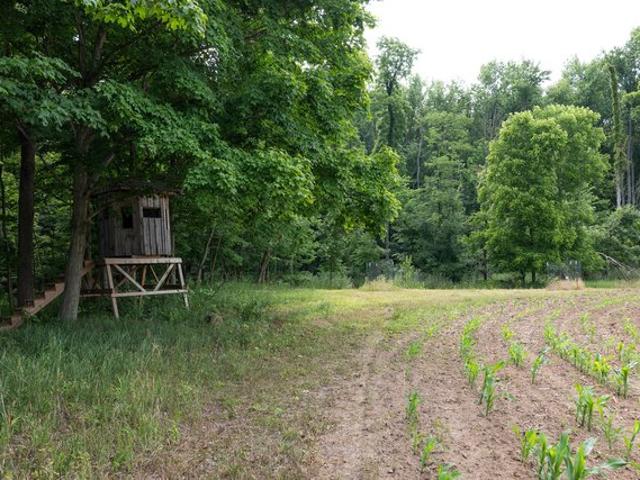 Land for sale in Hillsdale, Michigan
