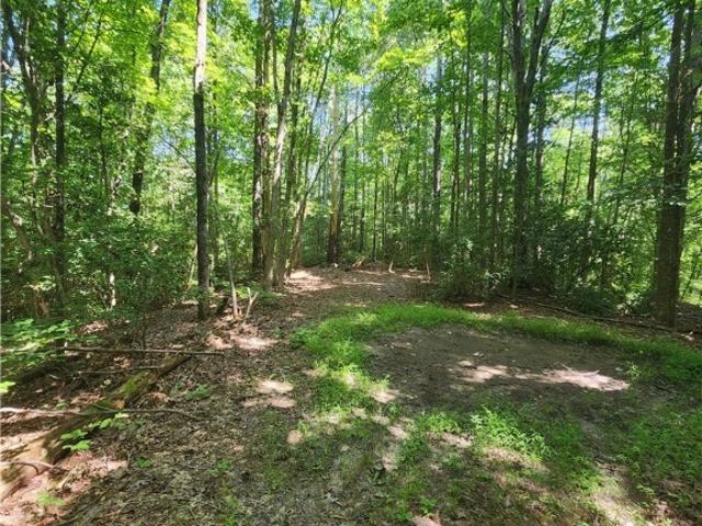 Land for sale in Virginia