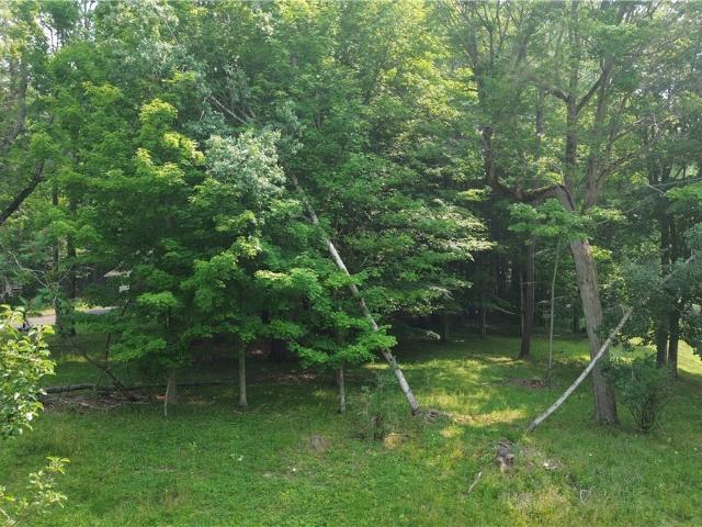 Land for sale in Cortland, New York