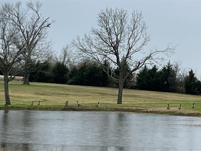 Land for sale in Grimes, Texas