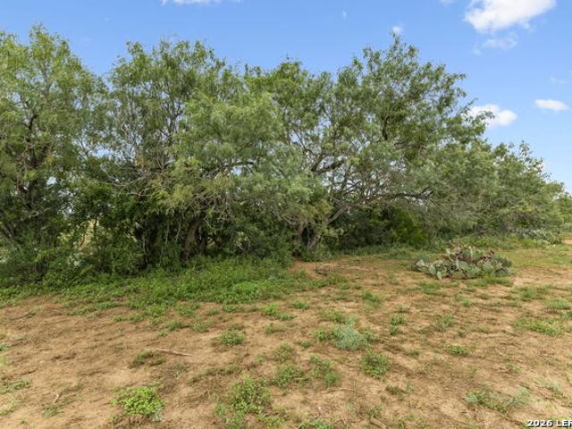 Farm for sale in Saint Hedwig, Texas