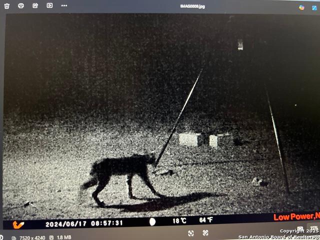 Land for sale in Bigfoot, Texas