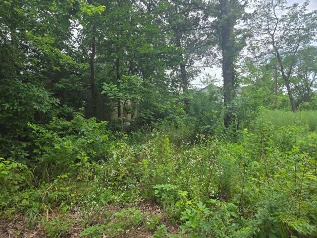 Land for sale in Flemington, Missouri