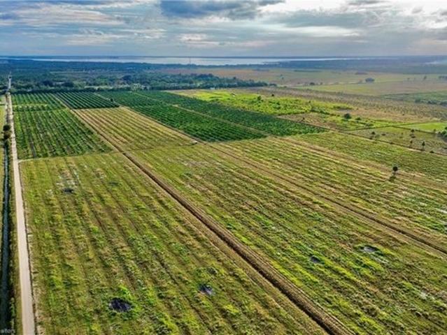 Land for sale in Lorida, Florida