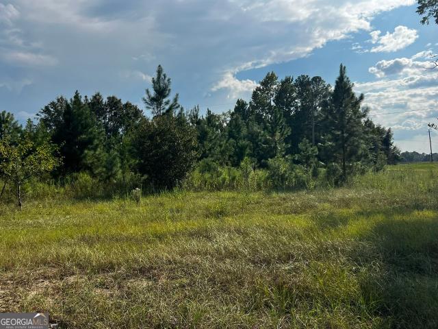 Land for sale in Odum, Wayne County