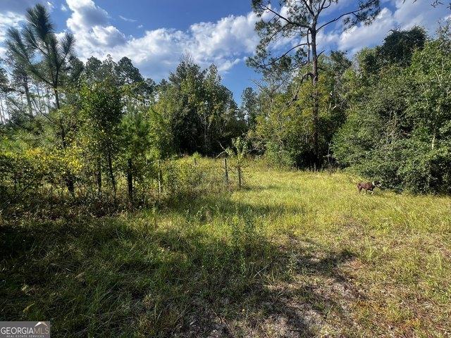 Land for sale in Odum, Wayne County
