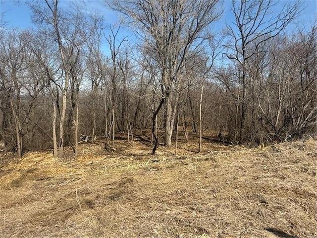 Land for sale in Cannon Falls, Minnesota