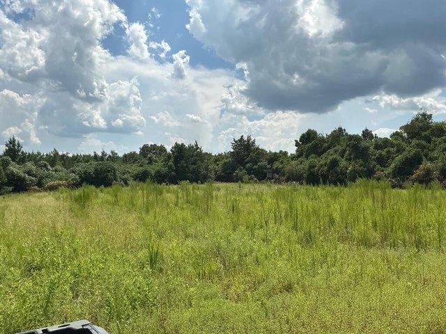 Land for sale in Brantley, Alabama