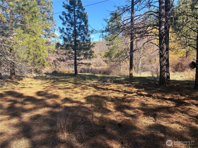 Land for sale in Davenport, Washington