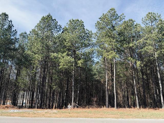 Land for sale in Tennessee