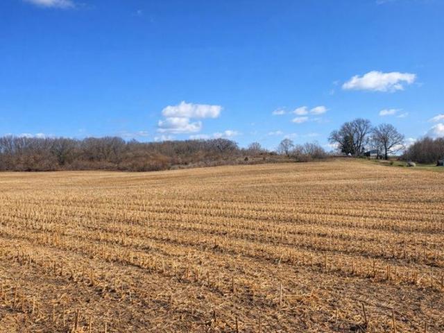 Land for sale in Coloma, Michigan