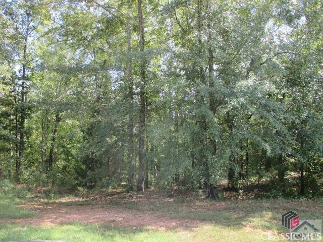 Land for sale in Oconee, Georgia