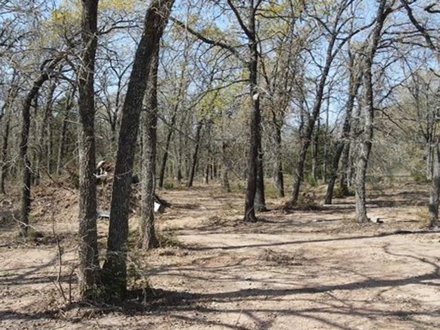 Land for sale in Axtell, Texas