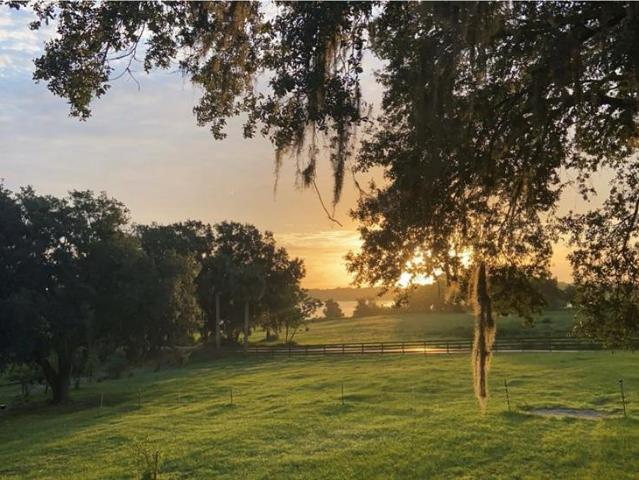 Land for sale in Florida