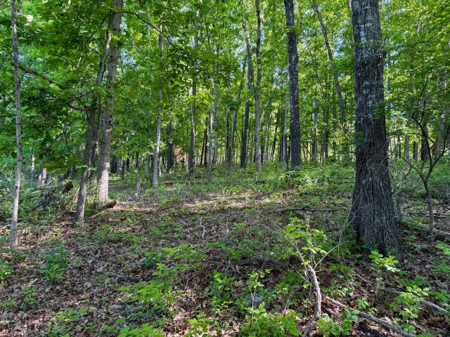House for sale in Macomb, Missouri