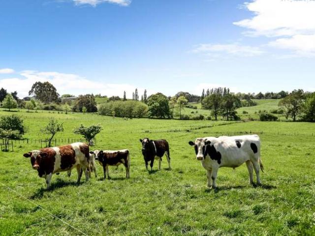 Property for sale in Rukuhia, Waikato
