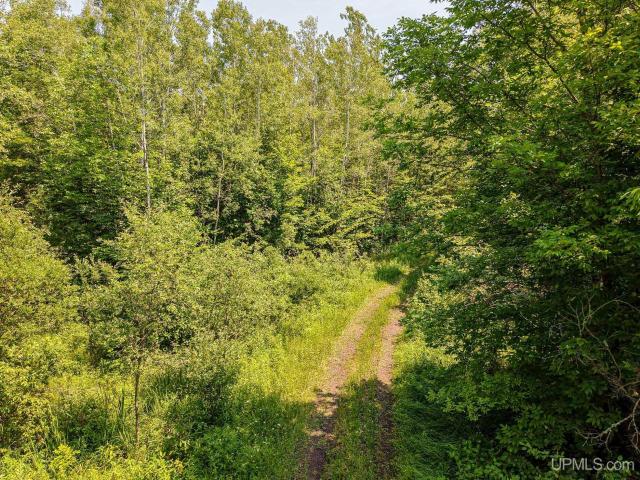 Land for sale in Michigan
