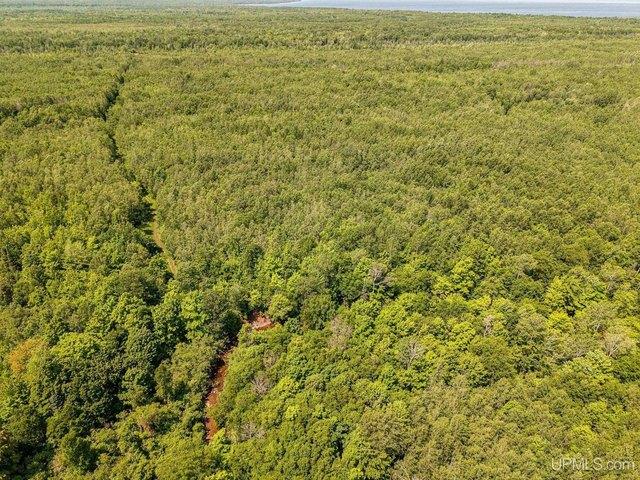 Land for sale in Carp Lake, Michigan