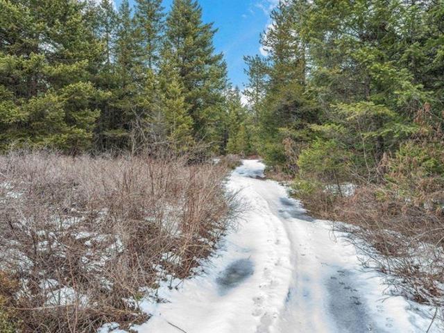 Land for sale in Spirit Lake, Idaho