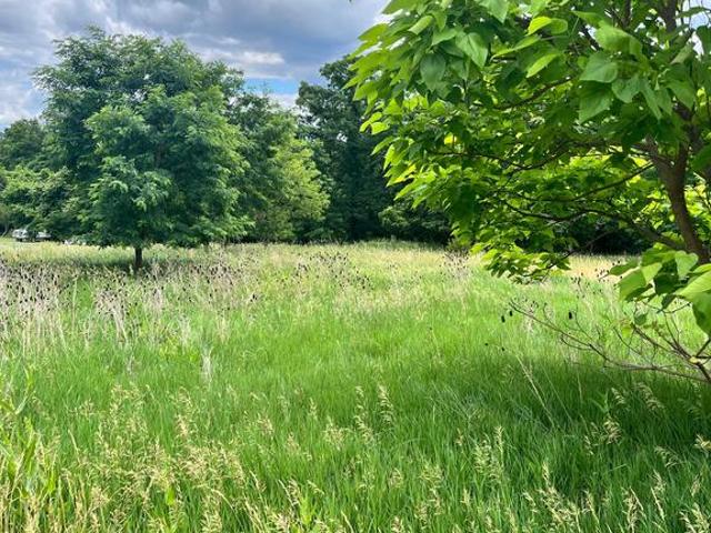 Land for sale in Petersburg, West Virginia