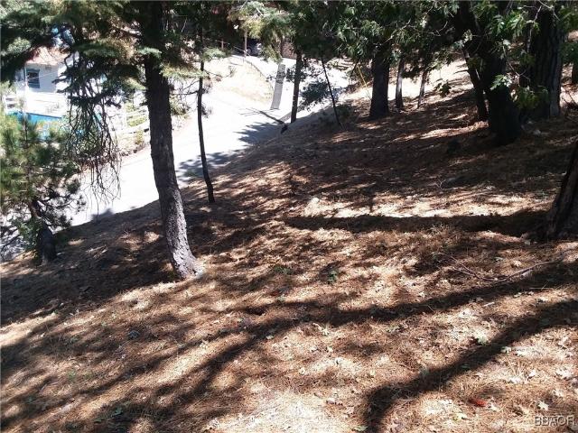 Land for sale in Green Valley Lake, California