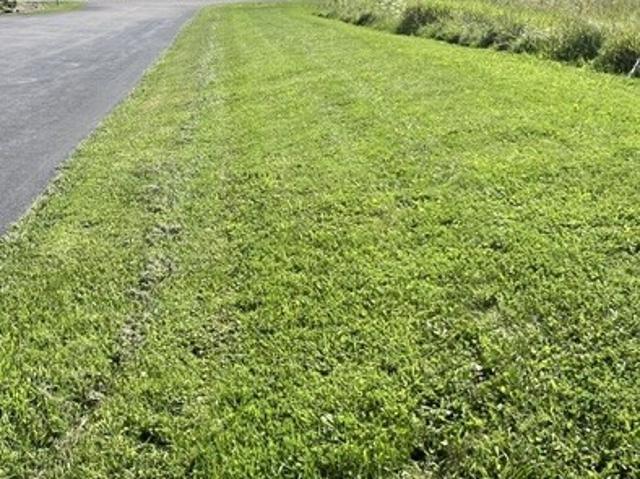 Land for sale in Macedon, New York