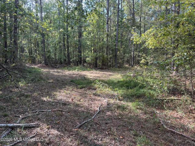 Land for sale in West, Holmes County