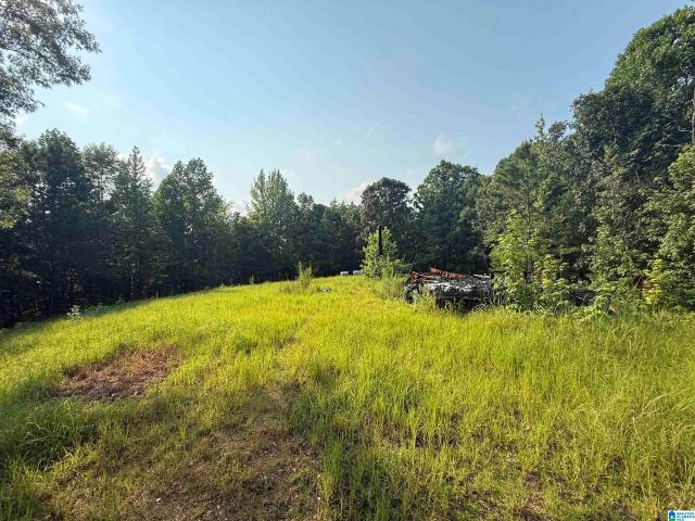 Land for sale in Coosa, Alabama