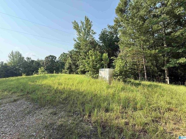 Land for sale in Coosa, Alabama