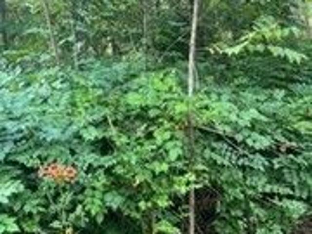 Property for sale in Northborough, Massachusetts