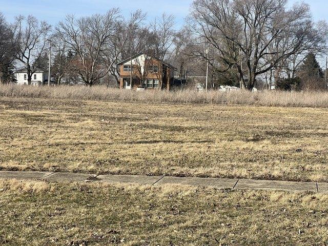 Land for sale in Vermilion, Illinois