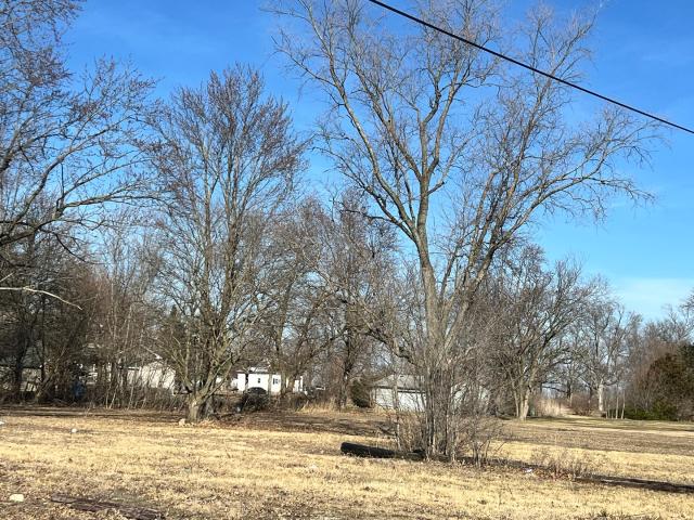 Land for sale in Vermilion, Illinois