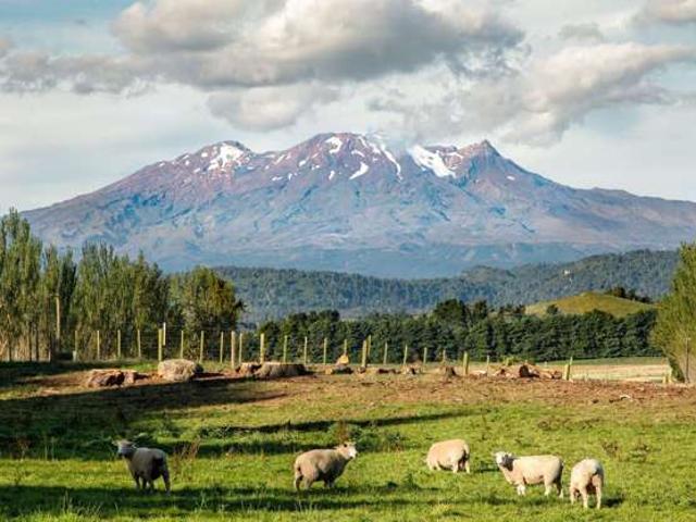 Property for sale in Ruapehu District