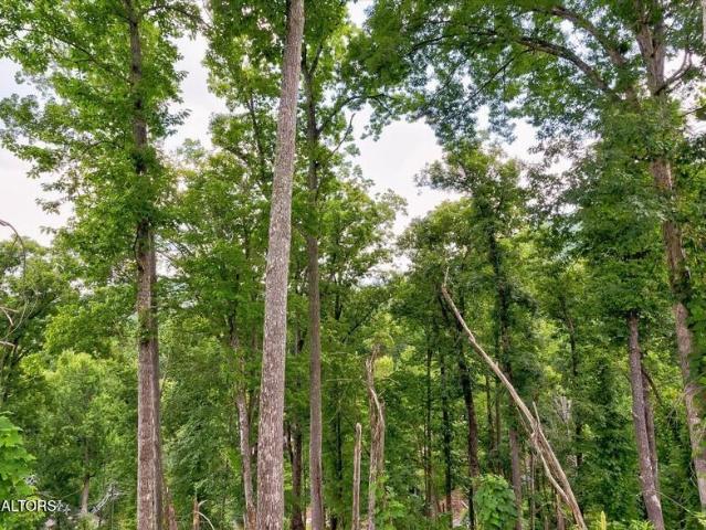 Land for sale in Tennessee