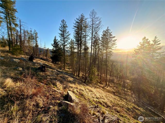 Land for sale in Riverside, Washington