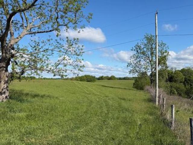 Land for sale in Williamstown, Kentucky