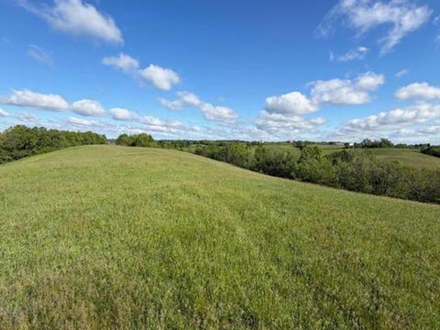 Land for sale in Williamstown, Kentucky